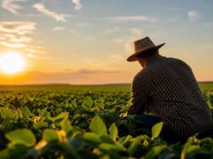 C&acirc;mara de Boa Esperan&ccedil;a do Norte celebra o Dia do Agricultor e reconhece a for&ccedil;a do campo