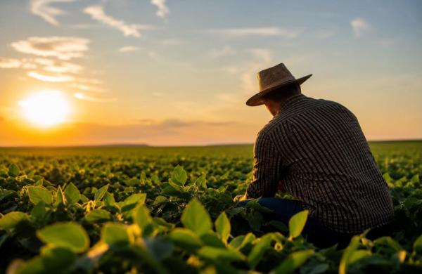 C&acirc;mara de Boa Esperan&ccedil;a do Norte celebra o Dia do Agricultor e reconhece a for&ccedil;a do campo