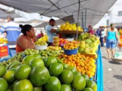 Vereador  indica cria&ccedil;&atilde;o de espa&ccedil;o adequado para a Feira Municipal em Boa Esperan&ccedil;a do Norte