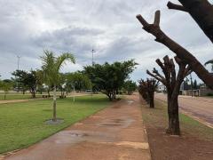 Vereadora solicita informa&ccedil;&otilde;es sobre poda de &aacute;rvores na Pra&ccedil;a Central de Boa Esperan&ccedil;a do Norte