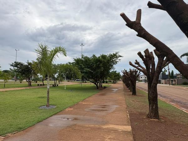 Vereadora solicita informa&ccedil;&otilde;es sobre poda de &aacute;rvores na Pra&ccedil;a Central de Boa Esperan&ccedil;a do Norte