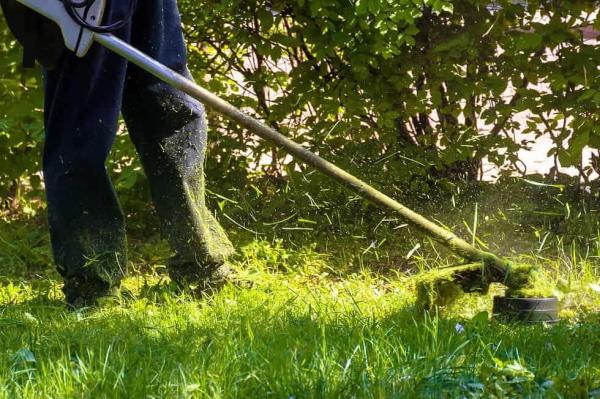 Vereador de Boa Esperan&ccedil;a do Norte indica limpeza de lotes p&uacute;blicos em Piratininga e &Aacute;gua Limpa